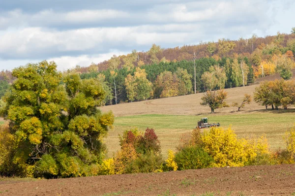 Hösten Upplöjd Fältet Stor Willow Tree Skördare Klipper Gräs — Stockfoto