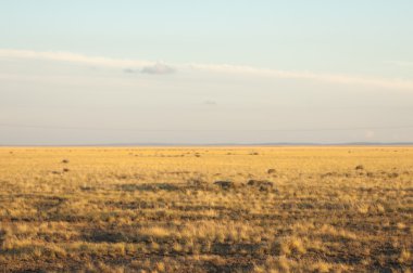 Kır. ve Larga açık alan in-belgili tanımlık otlak,