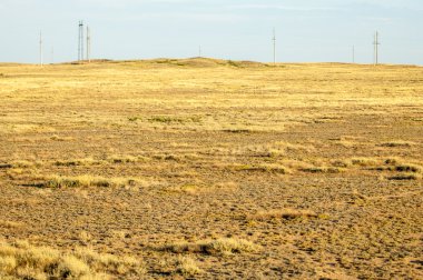 Bozkır yaz aylarında. Orta Asya Kazakistan