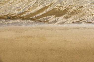 Doku, arka plan. kum plaj. gevşek taneli madde, soluk sarımsı kahverengi, silisli ve diğer kayalar erozyon kaynaklanan ve plajları büyük bir kurucu şekillendirme,