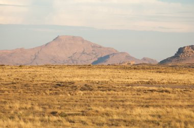 Dağ Bektau - Ata. Yolu Bektau - Ata. Orta Asya Kazakistan. 