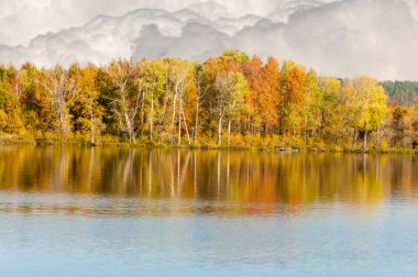 Sonbahar autu su parlak renklerde yansıyan orman karışık