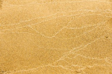 Doku, arka plan. kum plaj. gevşek taneli madde, soluk sarımsı kahverengi, silisli ve diğer kayalar erozyon kaynaklanan ve plajları büyük bir kurucu şekillendirme,