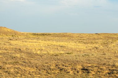 Bozkır yaz aylarında. Orta Asya Kazakistan
