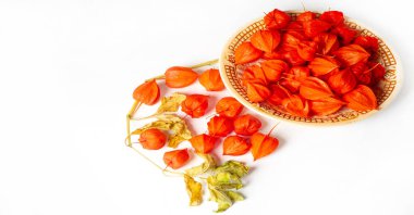 Physalis sidik torbası kirazı, Çin feneri, Japon feneri, Çilek Çileği, Japonya, parlak ve fener benzeri meyve kapları Bon festivalinin geleneksel bir bölümünü oluşturur.