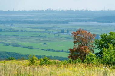 Yaz fotoğrafı: Avrupa 'nın manzarası, çayır ağaçları sonbahar renklerine hazırlanıyor