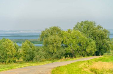 Yaz manzarası, yerel yol, Ağustos sonu. Dünyanın Avrupalı parçası