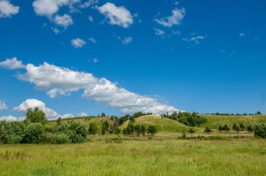 Yaz manzarası, nehir taşkınları, pitoresk kıyılar, kır çiçekli parlak yeşil çimenler, beyaz bulutlu mavi gökyüzü, ılık yaz günleri.,