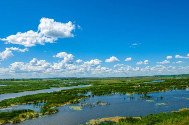 Yaz fotoğrafçılığı, sazlıklarla kaplanmış bir nehir, beyaz bulutlu mavi gökyüzü, ördek otuyla kaplanmış mavi su, nehir taşkını ovası, bunaltıcı yaz günü