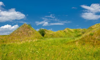 Yaz manzarası, nehir taşkınları, pitoresk kıyılar, kır çiçekli parlak yeşil çimenler, beyaz bulutlu mavi gökyüzü, ılık yaz günleri.,