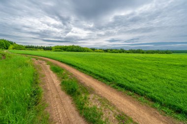 İlkbahar fotoğrafçılığı, kırsal alan, genç buğday tarlalarının arasından geçen toprak yol, bir yerden diğerine uzanan geniş bir yol, özellikle araçların kullanabileceği özel hazırlanmış bir yüzeye sahip olan bir yol.