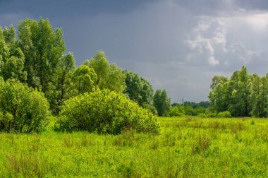 Yaz manzarası, gök gürültülü bulutlar, mavi gökyüzü, sel basmış çayır tarlaları, yaz renklerinin kokusu ve çeşitli kır çiçekleri.