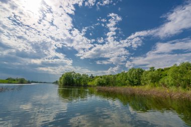 Bahar fotoğrafı, söğüt ağacı, parlak yeşillik, bulutlu mavi gökyüzü, harika bahar havası.