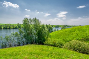 Bahar fotoğrafı, söğüt ağacı, parlak yeşillik, bulutlu mavi gökyüzü, harika bahar havası.