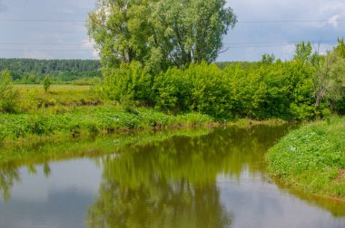 Yaz manzarası, gök gürültülü bulutlar, mavi gökyüzü, sel basmış çayır tarlaları, yaz renklerinin kokusu ve çeşitli kır çiçekleri.