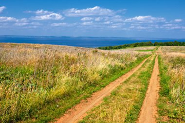 Yaz manzarası. Dünyanın Avrupa bölgesindeki bir nehir. Güneşli sıcak bir gün. Yeşil ağaçlar, çimenler. Mavi gökyüzü küçük bir bulut örtüsüyle.