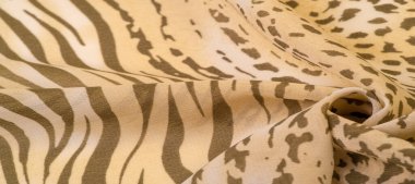 Kahverengi ve beyaz çizgili ipek kumaş, Afrika tarzı zebra derisi. Çizgili arka plan dokusu tekrarlanıyor. Tasarımcı için, tasarımın taslağı, dekoratörün çevresi.. 