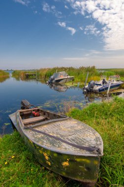 Yaz manzarası. Dünyanın Avrupa bölgesindeki bir nehir. Güneşli sıcak bir gün. Yeşil ağaçlar, çimenler. Mavi gökyüzü küçük bir bulut örtüsüyle.