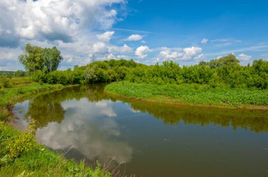Yaz manzarası, gök gürültülü bulutlar, mavi gökyüzü, sel basmış çayır tarlaları, yaz renklerinin kokusu ve çeşitli kır çiçekleri.