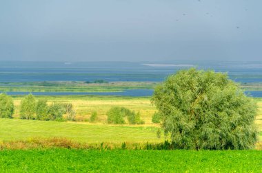 Yaz manzarası. Dünyanın Avrupa bölgesindeki bir nehir. Güneşli sıcak bir gün. Yeşil ağaçlar, çimenler. Mavi gökyüzü küçük bir bulut örtüsüyle.