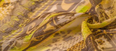 ipek kumaş, yeşil-kahverengi, soyut arka plan kumaşı veya sıvı dalga veya grunge ipek kumaş kıvrımlı kadife kumaş veya lüks Noel arkaplanı veya zarif duvar kağıdı tasarımı