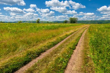 Yaz fotoğrafı. Sel ovaları (veya sel ovaları), nehir kıyısında mevsimsel sellere eğilimli bir çayır ya da çayır alanıdır.