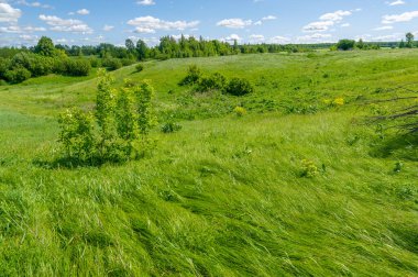 Çin 'de jambon deseni olarak bilinir. Rusya' da bu desen salatalık olarak bilinir. Boteh, Farsça 'da yaprak veya çiçek tomurcuğu anlamına gelen bir kelimedir.