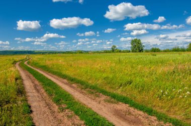Çin 'de jambon deseni olarak bilinir. Rusya' da bu desen salatalık olarak bilinir. Boteh, Farsça 'da yaprak veya çiçek tomurcuğu anlamına gelen bir kelimedir.