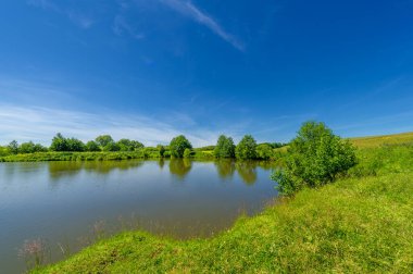 Yaz manzarası, bunaltıcı yaz günleri, ılık suyla dolu bir göl, ılık kuzey yarımkürede yaşayan fındık ağacı. Çalılar
