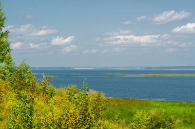 Yaz manzarası. Dünyanın Avrupa bölgesindeki bir nehir. Güneşli sıcak bir gün. Yeşil ağaçlar, çimenler. Mavi gökyüzü küçük bir bulut örtüsüyle.