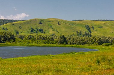 Yaz manzarası, nehir taşkınları, pitoresk kıyılar, kır çiçekli parlak yeşil çimenler, beyaz bulutlu mavi gökyüzü, ılık yaz günleri.,