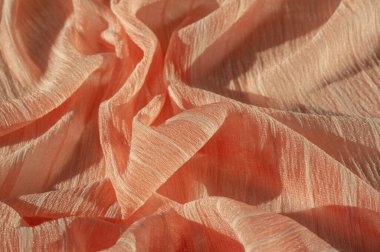 doku, arka plan, desen, koleksiyon, buruşuk ipek kumaş şampanyası (soluk geyik tüyü). Üç Boyutlu