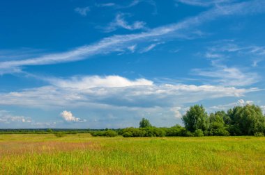 Yaz manzarası, gök gürültülü bulutlar, mavi gökyüzü, sel basmış çayır tarlaları, yaz renklerinin kokusu ve çeşitli kır çiçekleri.