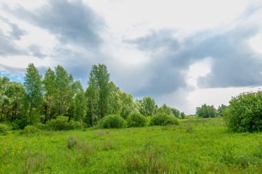 Yaz manzarası, gök gürültülü bulutlar, mavi gökyüzü, sel basmış çayır tarlaları, yaz renklerinin kokusu ve çeşitli kır çiçekleri.