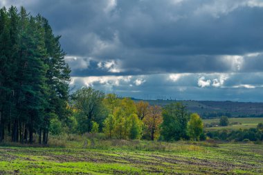 Sonbahar manzara fotoğrafı. Sonbahar mevsiminde Avrupa 'nın karışık ormanlarının ağaçlandırılmış manzarası, büyük mavi bulutlar, ışık parlıyor, toprağı aydınlatıyor.