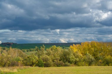 Sonbahar manzara fotoğrafı. Avrupa 'nın düz bitki örtüsü. Çayırlar, vadiler, çalılıklar, açık yaprak döken veya karışık ormanlar. Eylül 'de Meadows