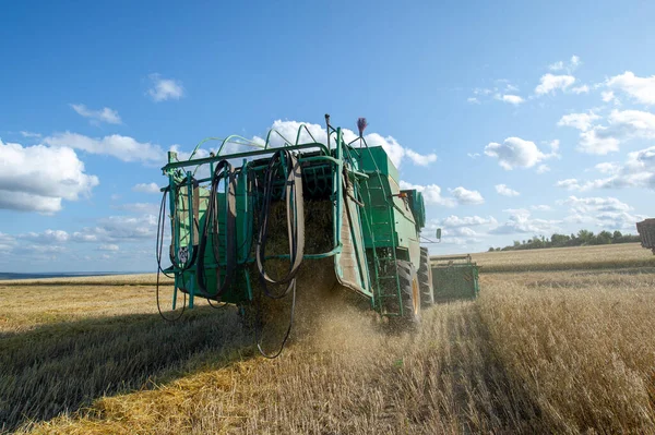 Sommar Foto Skörd Korn Slåtter Skördare Korn Fälten 2019 Tukaevskij — Stockfoto