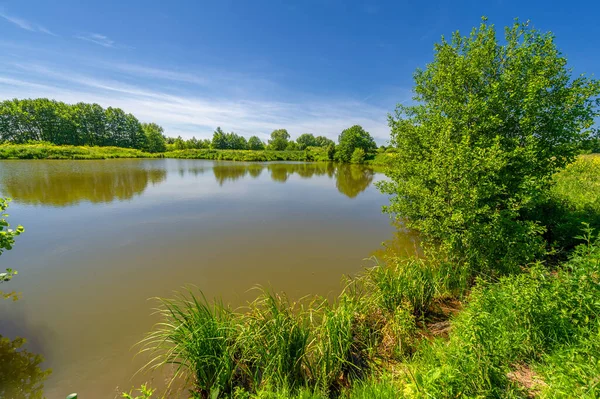 Zomer Landschap Zwoele Zomerdagen Een Meer Met Warm Water Hazelaar — Stockfoto