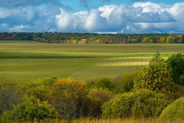Podzimní Fotografie Krajiny Plochá Flóra Evropy Louky Strže Houštiny Otevřené — Stock fotografie