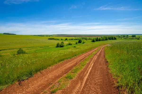 Letní Krajina Polní Cesta Černé Půdy Modrá Bezmračná Obloha Zelená — Stock fotografie