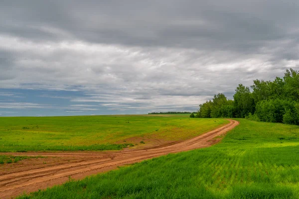 Spring Photography Rural Landscape Dirt Road Young Wheat Fields Wide — Stock Photo, Image