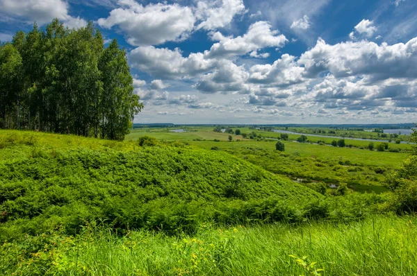 Sommarfotografi Vattenängar Flodslätt Fotografi Tagen Från Berget Grönt Gräs Tall — Stockfoto