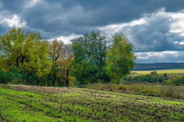 Höstlandskapsfoto Skogsbeströdda Landskap Europeisk Blandskog Höstsäsongen Stora Blå Moln Ljus — Stockfoto