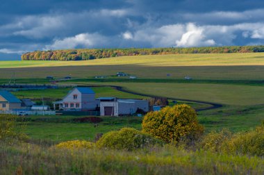 Sonbahar manzara fotoğrafı. Avrupa 'nın düz bitki örtüsü. Çayırlar, vadiler, çalılıklar, açık yaprak döken veya karışık ormanlar. Eylül 'de Meadows