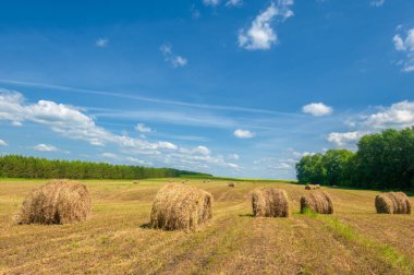 Yaz manzarası, saman yapım, saman tarlaları kocaman, yuvarlak saman balyaları. Bu çok daha az insan stresi ile büyük miktarda saman depolamak için kompakt bir yoldur..