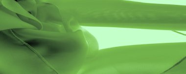 Doku. şablon. Açık yeşil ipek polyester. Kireç yeşili ipek kumaştan. Şeffaf arkaplan ve elbise dikmek için açık kumaştan yapılmış. Tekstil panoraması
