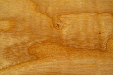 Saf meşe ve kül, cilalanmış ve emzirilmiş. Tasarım elemanı. Kitap kapağı. Sosyal ağlar. Web tasarımı. Duyuru. Desen arkaplan deseni