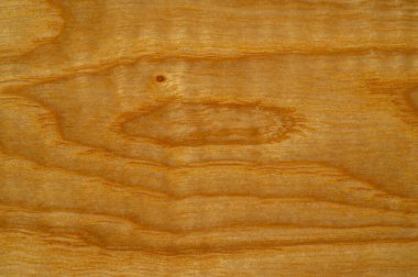 Saf meşe ve kül, cilalanmış ve emzirilmiş. Tasarım elemanı. Kitap kapağı. Sosyal ağlar. Web tasarımı. Duyuru. Desen arkaplan deseni