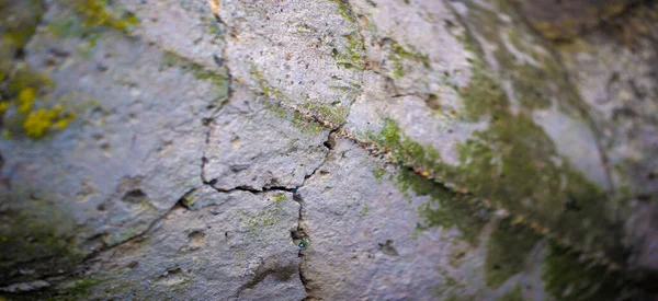 Tekstury Ścian Wietrznych Grunge Tapety — Zdjęcie stockowe