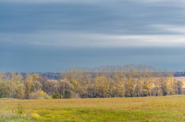 Gün ışığında açık hava manzarası
